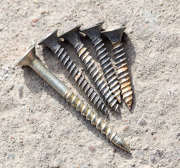 screw on the ground. macro
