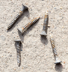 screw on the ground. macro