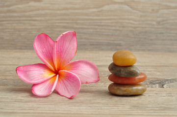 Fototapeta na wymiar A pink frangipani flower with a pile of flat stones next to it