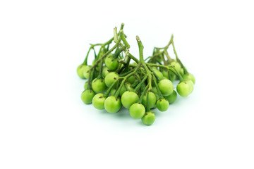 turkey berry (Solanum torvum) isolated in white background