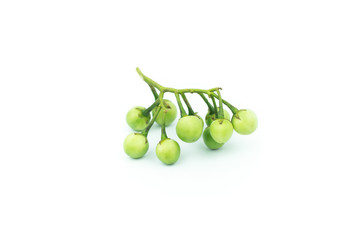 turkey berry (Solanum torvum) isolated in white background