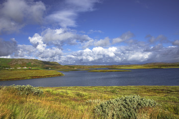Icelandic colorful landscape on Iceland, summer time