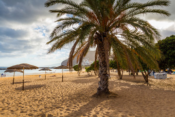 Fototapeta na wymiar Yellow sand beach with lounge chairs and umbrellas in Tenerife Island, Spain