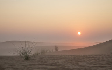 Sunrise in a desert near Dubai