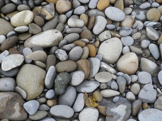 Beach Rocks