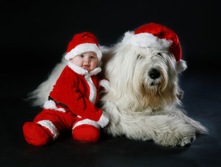 Baby and Dog Christmas