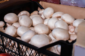 Boxes with fresh champignon mushrooms.
