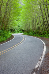 Two Lane Curve Road 2