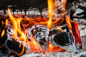 Close up fire