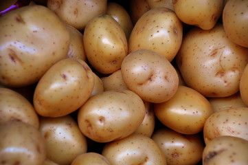 Frische Speisekartoffeln auf dem Markt