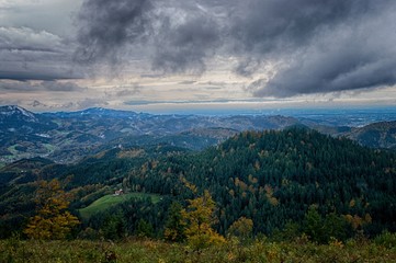 Schwarzwald im Regen