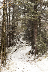 Górska ścieżka © Bartosz