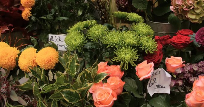 Panning view of a dIsplay of roses and flowers in a market