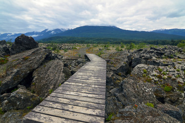 Fototapeta na wymiar Wood walkway in Nisga'a Memorial Lava Bed, British Columbia, Canada