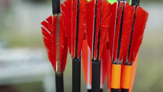 Arrows for archery. Red arrows in quiver - case for arrows