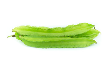 Young Winged Beans,Psophocarpus tetragonolobus Linn isolated on