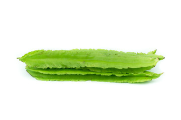 Young Winged Beans,Psophocarpus tetragonolobus Linn isolated on