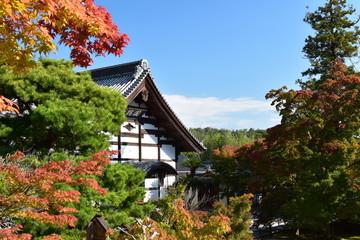 井山宝福寺の庫裏屋根と紅葉