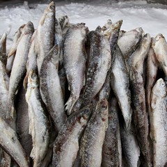 Obraz premium Fish on the market in winter. 2 
