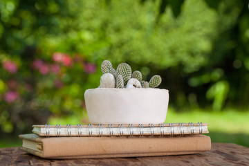 A small arranging cactus pot put on a book pile on the wood table in the garden