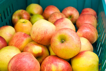 Group of red apples in plastic basket