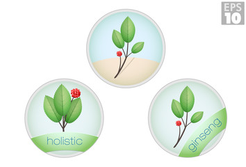 Holistic, ginseng plant, alternative medicine icons