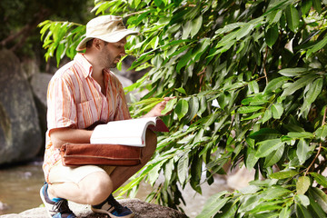 Outdoor shot of ecologist wearing hat and striped shirt sitting in front of green plant while examining its leaves for diseases holding manual or guide on his laps, looking for required information