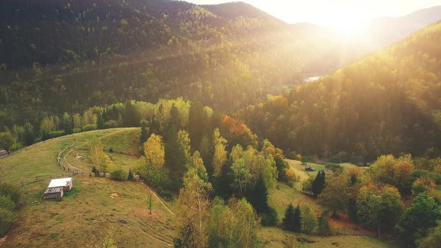 Aerial Drone Footage View: Flight over autumn mountain village with forests, fields and river in sunrise soft light. Carpathian Mountains, Ukraine, Europe. Majestic landscape. Beauty world. 4K