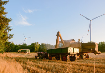 Fototapeta premium Combine harvester unloads wheat grain
