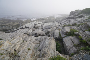 Rocky Coast in Fog