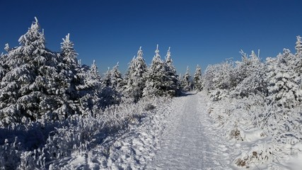 Weg durch weiße Winterlandschaft bei Sonnenschein und strengem Frost
