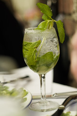 Mojito de limón