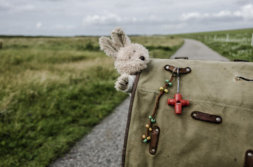Backpack standing on the road with a teddybear