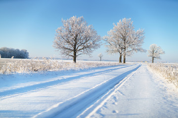 Fototapeta na wymiar Country road in winter frost
