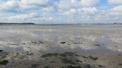 Low Tide in Poole harbor