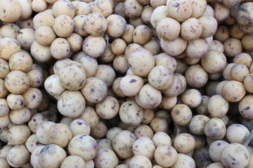 Pile of fresh Wollongong fruit.