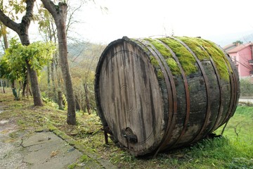 Obraz premium Old wine barrique in the country, Campania , Italy 