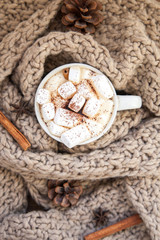 Fototapeta premium Coffee with marshmallows. A cozy plaid. Cinnamon, anise.