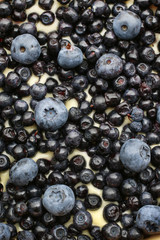 Blueberry fruits background