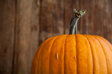 orange pumpkin