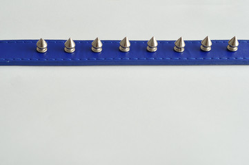 A blue dog collar decorated with spikes