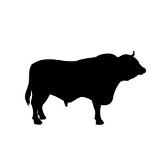 bull vector illustration black silhouette