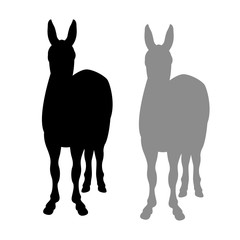 Donkey vector illustration  black silhouette