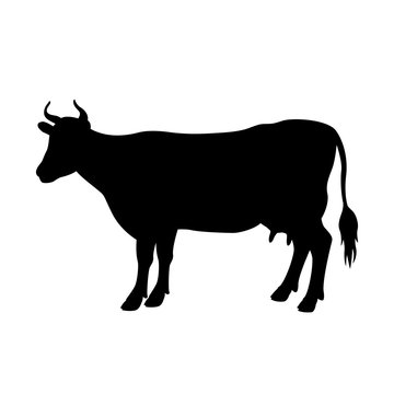 Cow vector illustration black silhouette