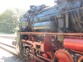 Naklejka premium Historische Danpflok