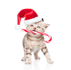 Tiny kitten in red christmas hat holding candy cane in mouth. isolated on white