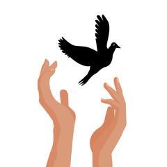 Hands release dove of peace. Colorful picture on white background. Flat illustration