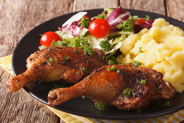 roasted duck leg with mashed potatoes garnish and salad mix close-up. Horizontal