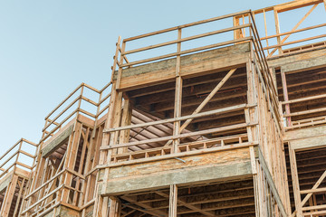 Structure of Wood in Construction