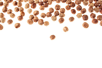 Hazelnut border on white background. Pile of selected hazel close-up. Isolated. For vegetarians.